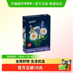 LEGO/乐高11508 花植系列雏菊拼插积木【6仓正品行货】