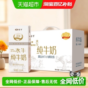 广西桂牛水牛纯牛奶200mlx10盒装 整箱3.1g学生营养早餐奶礼盒送礼