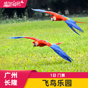 [广州长隆飞鸟乐园-1日门票]广州长隆飞鸟世界亲子学生门票
