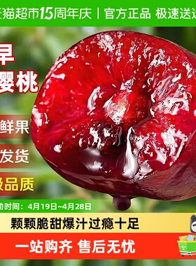 大连美早大樱桃新鲜水果应当季国产车厘子345J整箱孕妇斤