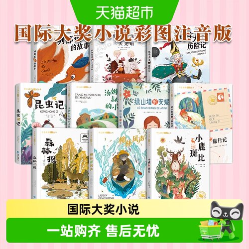 国际大奖小说注音版全套10册一