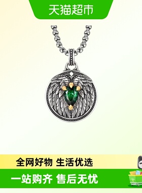 IDEAGEMER自由之翼纯银项链男士