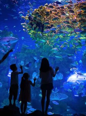 [芜湖新华联大白鲸海洋公园-大门票][大白鲸海洋公园-大门票]芜湖海洋公园