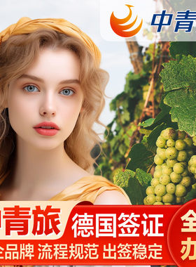 德国商务旅游签证全国办理