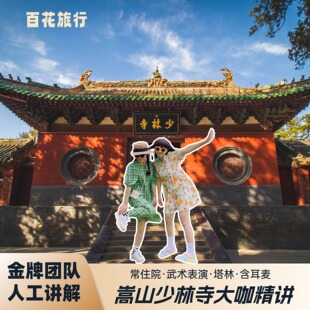 少林寺人工讲解私家团｜ 武术表演+常驻院+塔林 | 不含门票