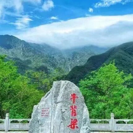 西安出发，柞水牛背梁国家森林公园一日【门票+车费 同事团建亲子