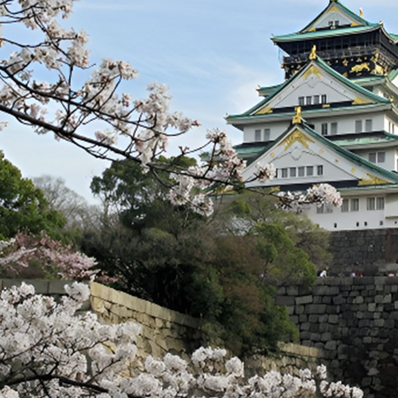 定制链接补差  日本单次签证