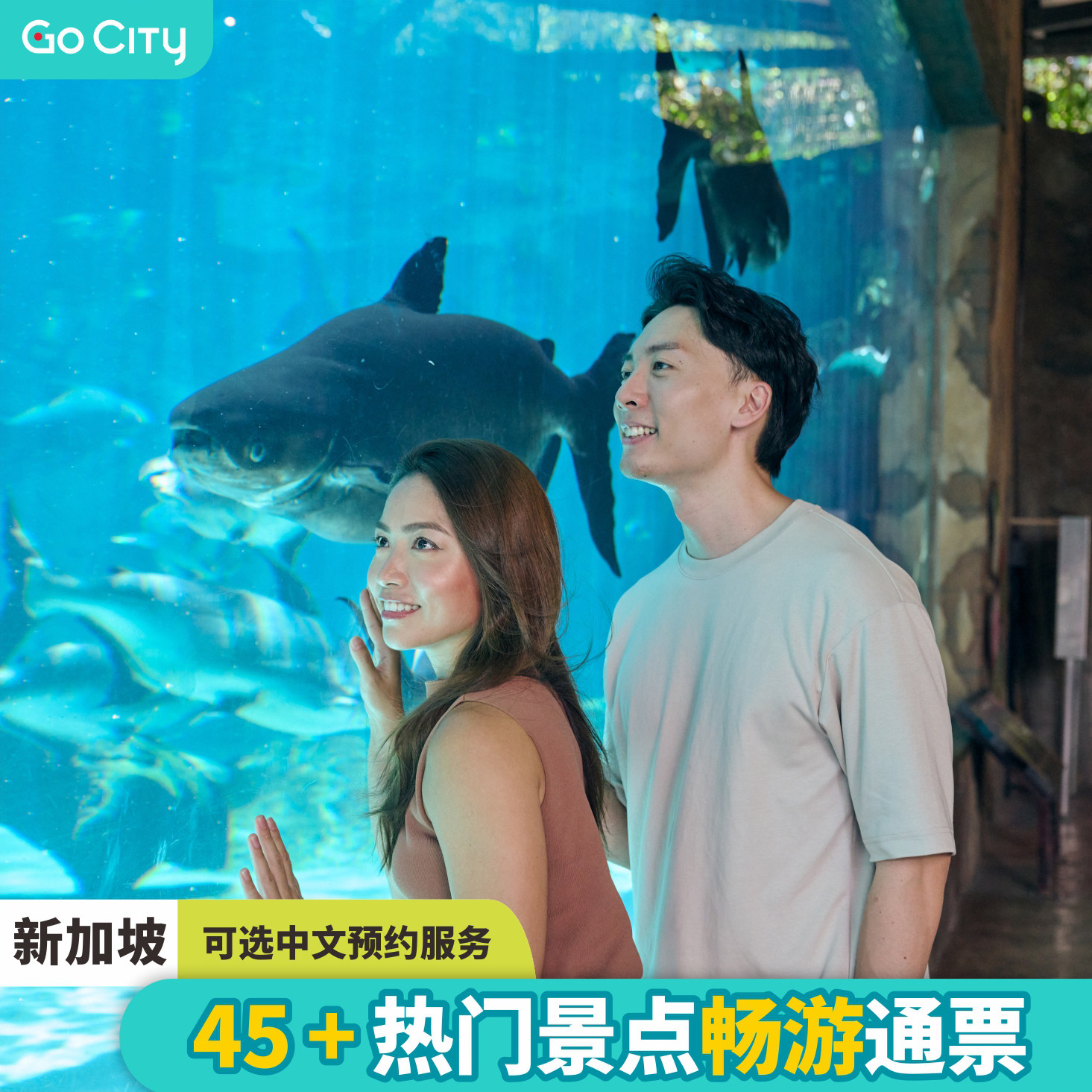 [新达城鸭子船-go city新加坡通票]环球影城等50 景点畅游