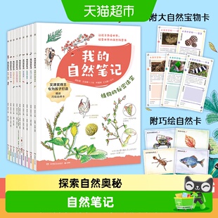 我的自然笔记全9册 文津图书奖得主芮东莉 7-14岁儿童科普绘本