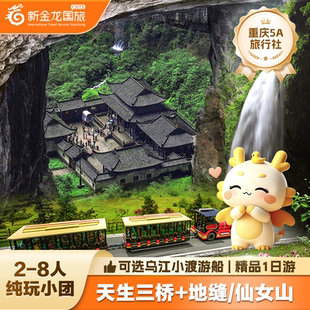 重庆武隆一日游纯玩天生三桥天坑地缝仙女山小团包车门票周边旅游
