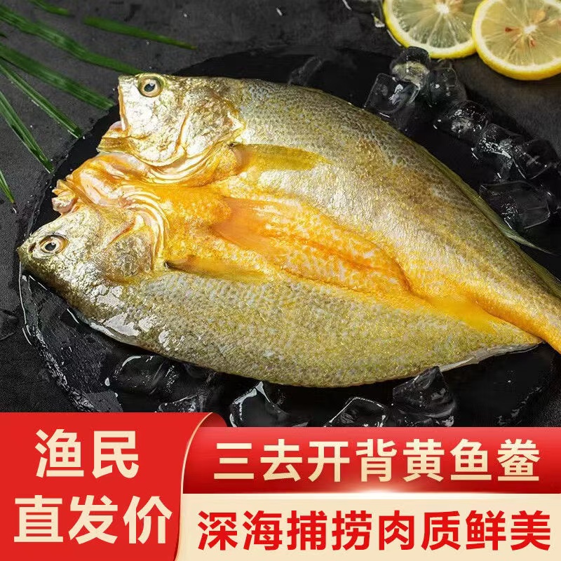 宁德原产地急冻大黄鱼黄瓜鱼海鱼海鲜调味开背黄鱼200g/条
