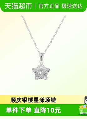 顺庆银楼足银项链