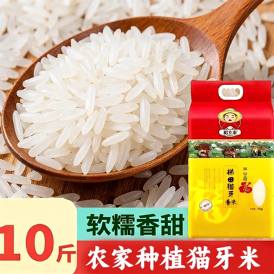 当季晚稻新米10斤/5斤广西象牙香米梯田大米煲仔饭炒饭长粒米批发