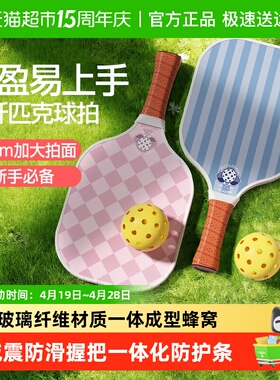 yottoy玻纤匹克球拍高颜值成人学生训练专业级pickelball球拍板套