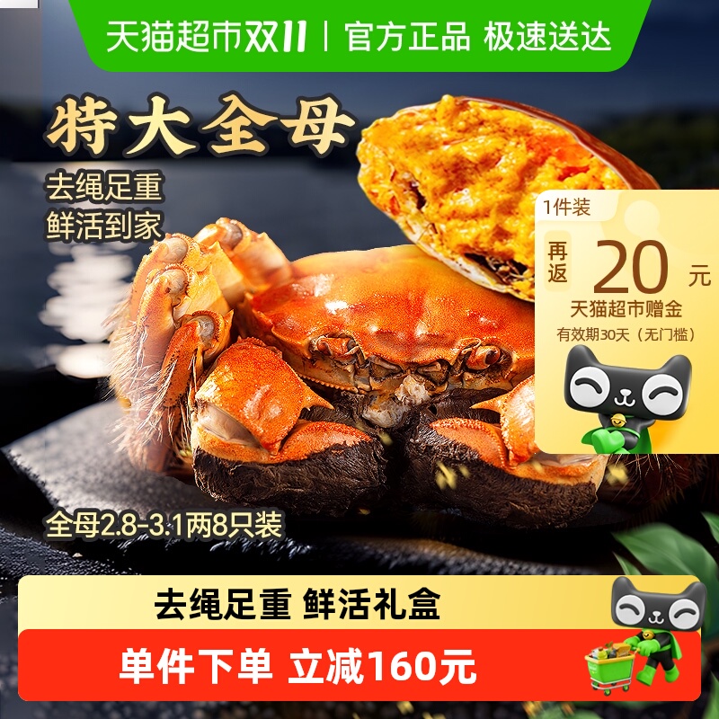 今锦上全母2.8两鲜活大闸蟹8只