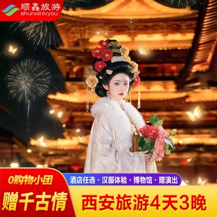 【2--8人团】西安旅游4天3晚跟团游兵马俑华山壶口延安大唐不夜城