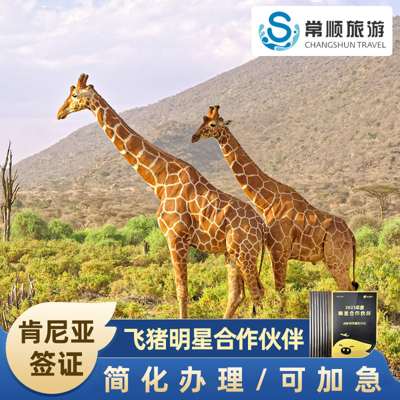 肯尼亚·旅游签证·全国送签·个人旅游/商务电子签证可加急当天出全国办理