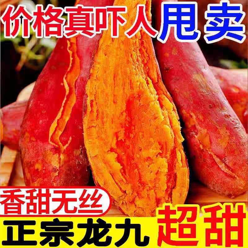 沙地蜜薯红薯农家新鲜黄蜜薯板栗薯地瓜龙九番薯黄心单品入口软糯