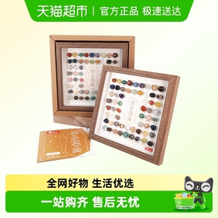 地球宝藏 地球宝藏——盲盒