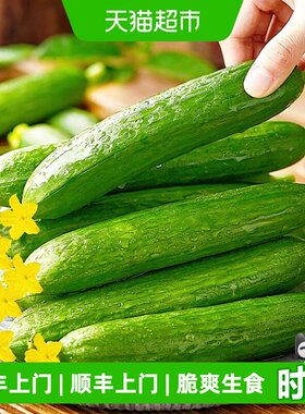 繁花似锦即食黄瓜鲜香浓郁
