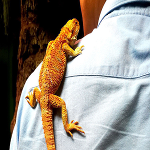 [正佳雨林生态植物园-大门票]成人/儿童/亲子/家庭
