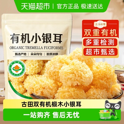 西云珍坊古田有机椴木小银耳特产