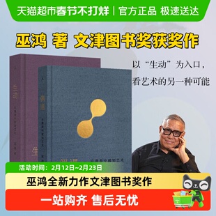 巫鸿作品全2册 生动 在漫游中发现艺术+偶遇 在漫游中感知艺术