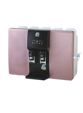 容声净水器滤芯RO307-4