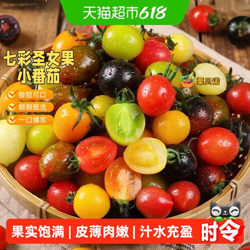栗贝诺七彩小番茄清甜爆汁