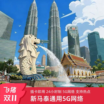 新加坡5G电话卡