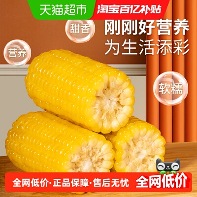 天勤粒粒净黄糯玉米段120g×8支