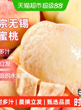 京运达正宗无锡水蜜桃