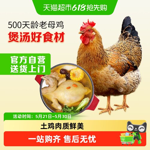 温氏食品老母鸡五谷杂粮1.2kg