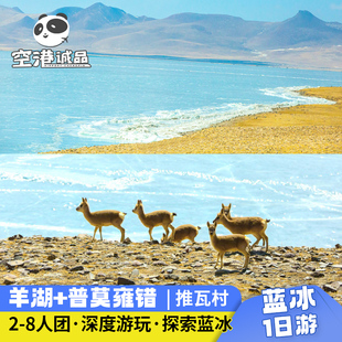 西藏旅行羊湖一日游普莫雍错蓝冰拉萨旅游1日跟团游