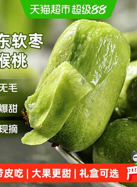 京运达丹东软枣猕猴桃清晨采摘