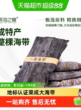 倾海之宴一整颗海带昆布