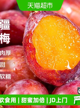 京运达新疆法兰西西梅当季新鲜