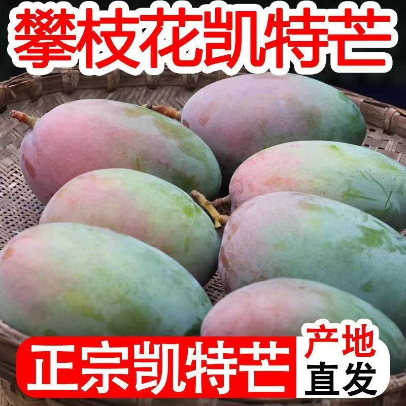 四川攀枝花凯特芒果现摘青皮芒果爆甜凯特芒新鲜9斤大果整箱水果