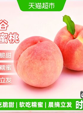 京运达正宗平谷水蜜桃