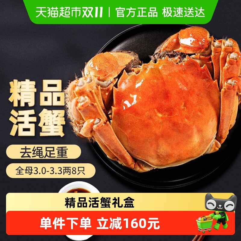 今锦上大闸蟹全母3-3.3两8只装