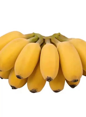正宗广西小米蕉当季孕妇水果鸡蕉薄皮纯天然小香蕉皇帝蕉整箱批发