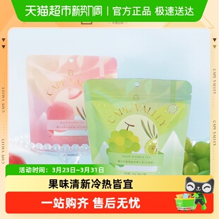 Cape Valley/开普山谷南非路易波士茶博士茶养生茶袋泡茶