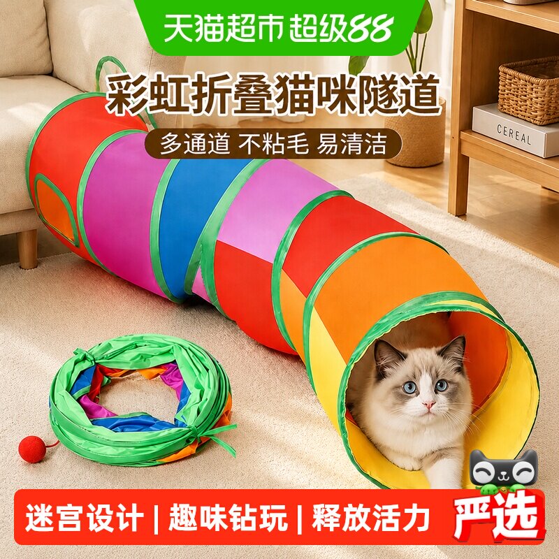 瓜洲牧猫咪隧道自嗨解闷消耗体力图片