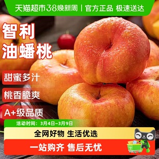 智利进口油蟠桃子脆甜雪水蜜小冬桃新鲜水果时令当季孕妇