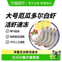 大虾鲜活速冻特大厄瓜多尔白虾非鲜速冻盐冻厄瓜海虾海鲜水产新鲜