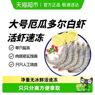 大虾鲜活速冻特大厄瓜多尔白虾非鲜速冻盐冻厄瓜海虾海鲜水产新鲜