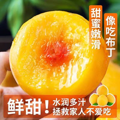 蒙阴黄桃当季新鲜孕妇水果水蜜桃子脆甜锦绣黄桃现摘