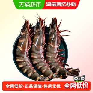 黑虎虾鲜活超大老虎虾速冻特大对虾基围虾鲜虾海虾无冰竹斑九节虾
