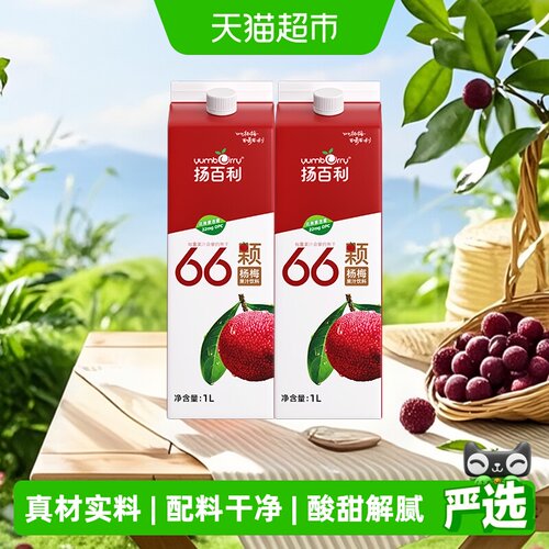扬百利大瓶装冰镇果汁