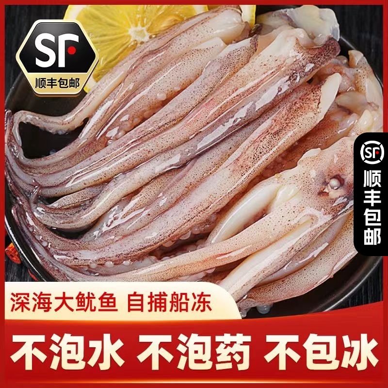 新鲜鱿鱼须鲜活冷冻二本足章鱼生鲜尤鱼铁板鱿鱼串腿海鲜
